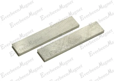 Samarium Cobalt Rare Earth Magnets