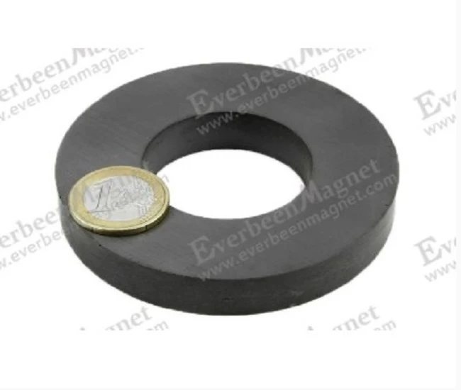 Custom Industrial Ceramic Magnets